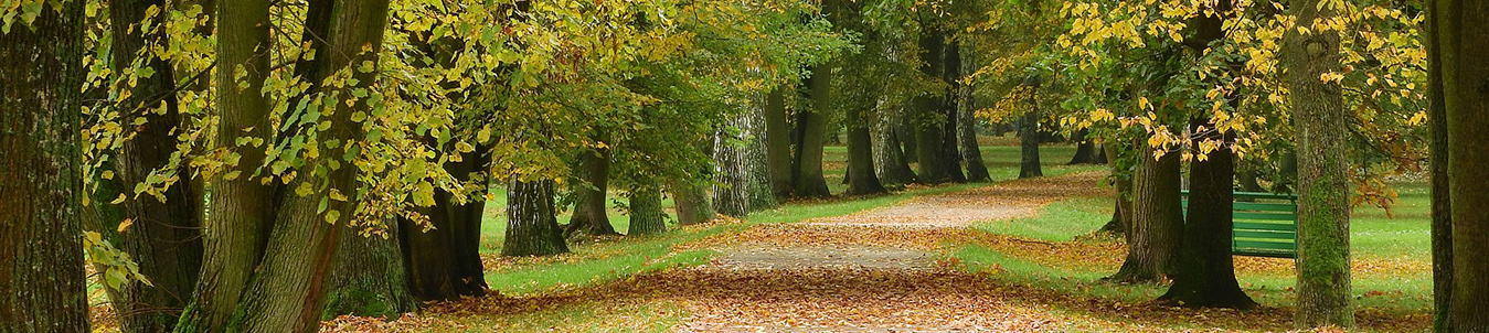 Hadley Wood Therapy
